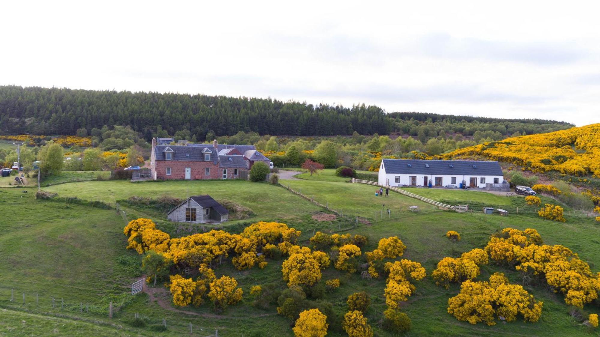 Appartement Dolphin View Hillockhead à Rosemarkie Extérieur photo